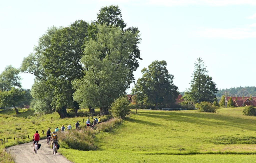 Gruppo in escursione in un parco verde in prossimità dei Laghi Masuri, Polonia.