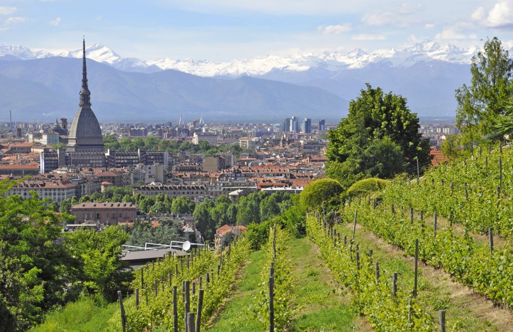 Panorama su Alba e le colline circostanti dalla cima di una vigna.
