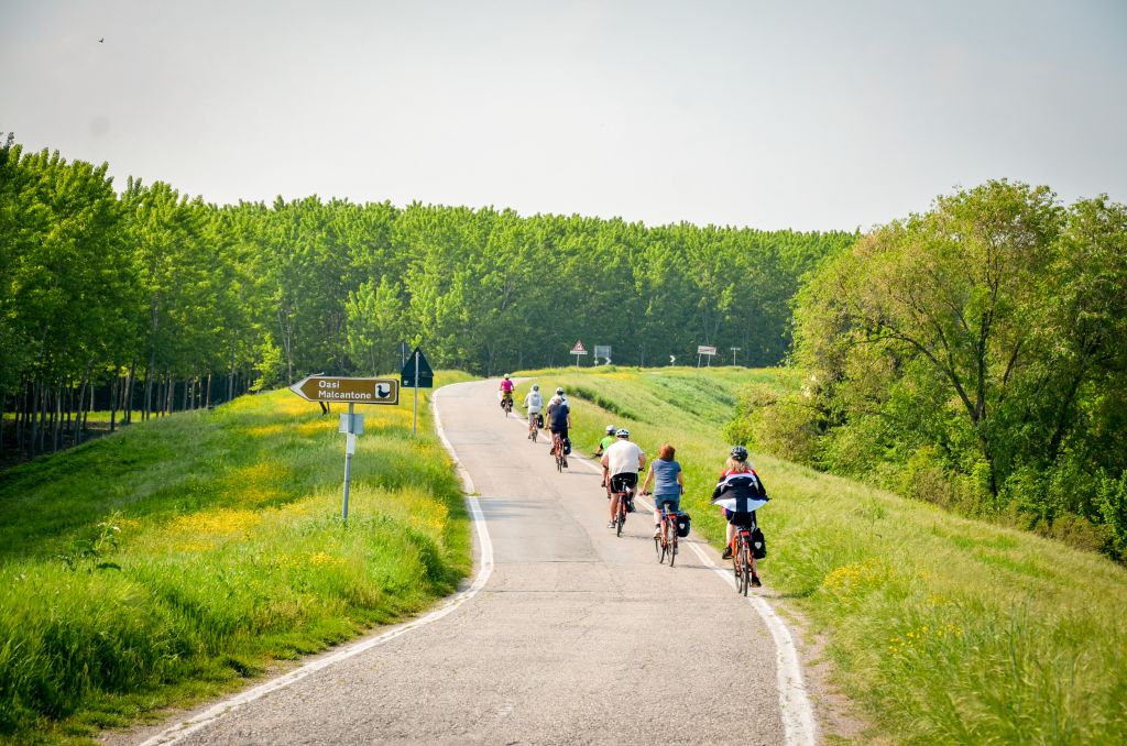 Ciclisti su un sentiero verde e panoramico lungo il fiume Mincio, Italia.