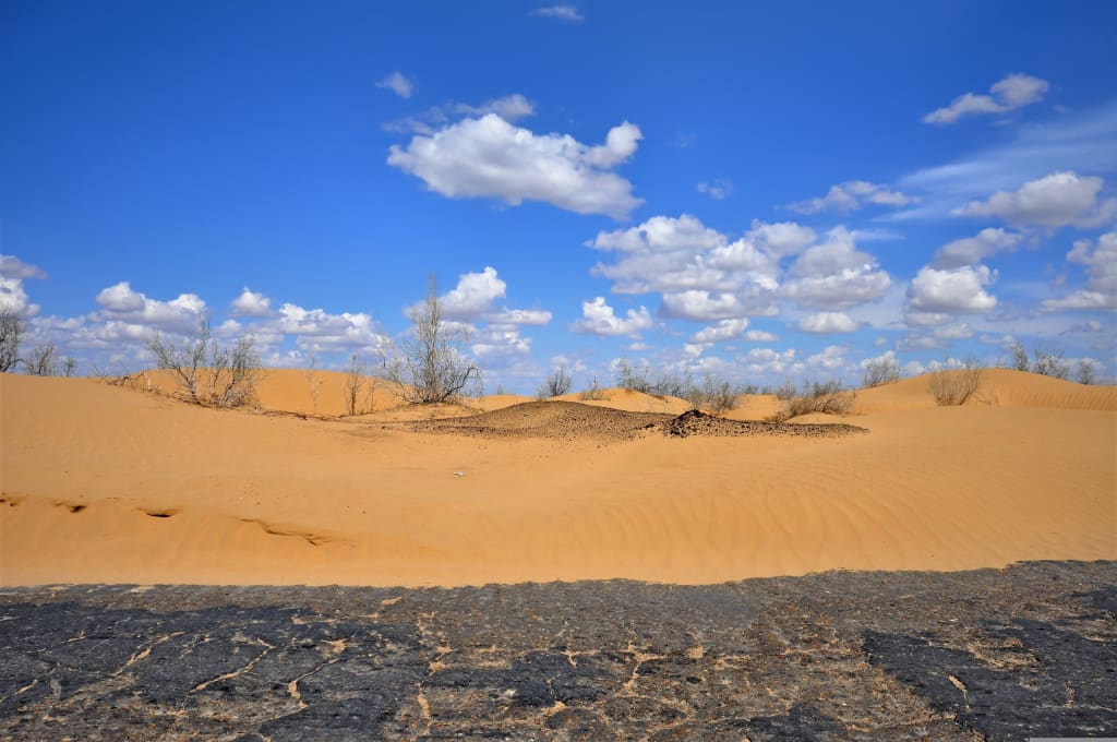 Dune dorate e cielo blu nel deserto del Kyzylkum, Uzbekistan, scenario selvaggio della Via della Seta.