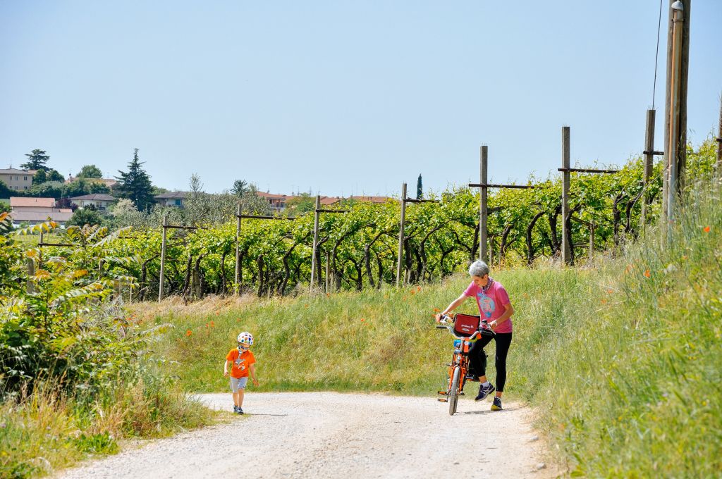 Cicloturista intenta a salire in sella, bambino con caschetto, family tandem, stradina circondata da vigneti, lago di Garda