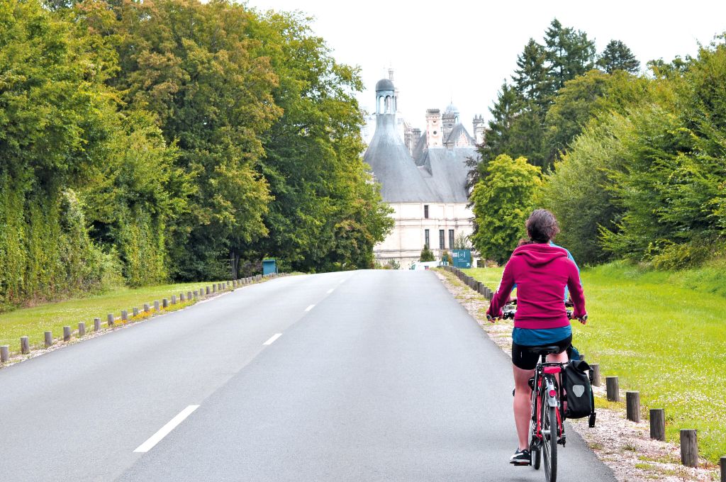 Radfahrer auf einer von Bäumen gesäumten Straße in der französischen Landschaft.