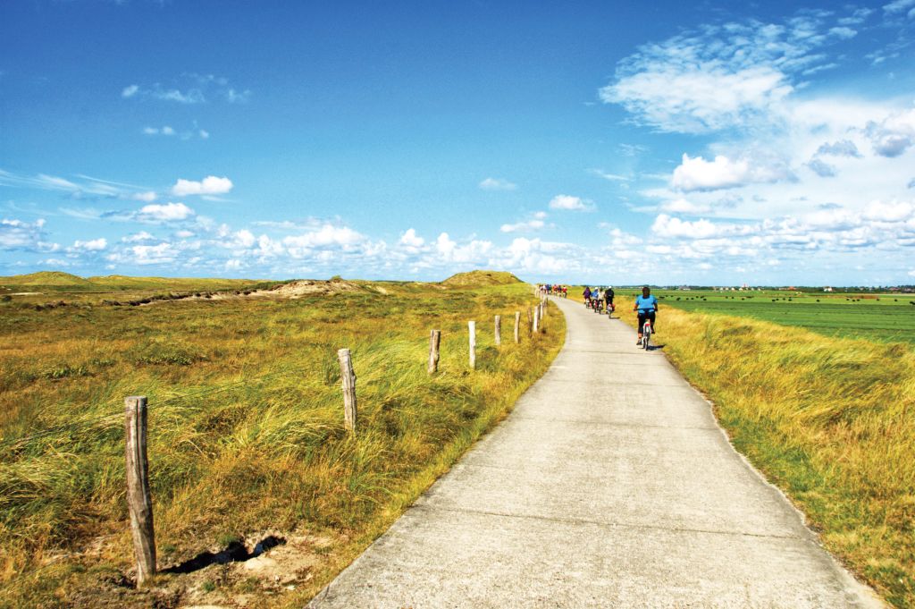 Ciclisti su pista ciclabile panoramica attraverso paesaggio erboso sotto un cielo azzurro.