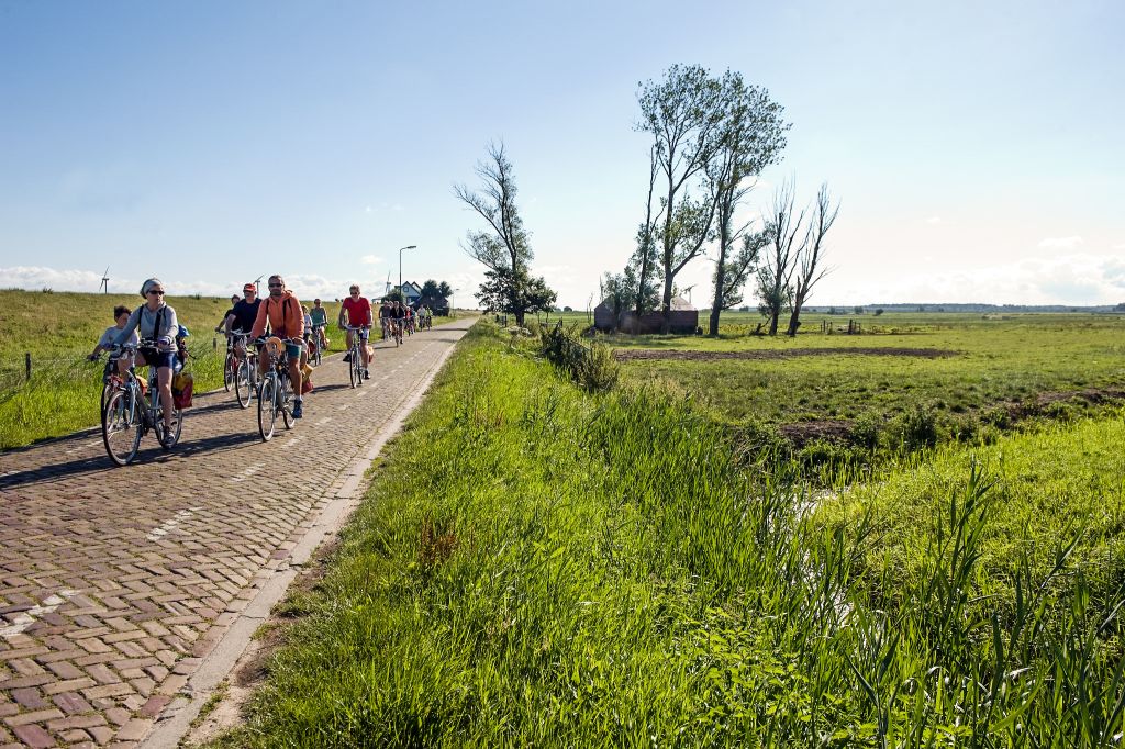 Persone in bicicletta su una strada di campagna circondata da campi verdi, Olanda in bici e barca