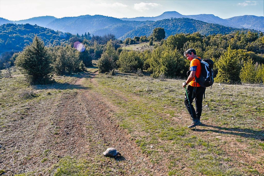 Escursionista in campo aperto con montagne sullo sfondo, viaggio trekking "Girolibero"