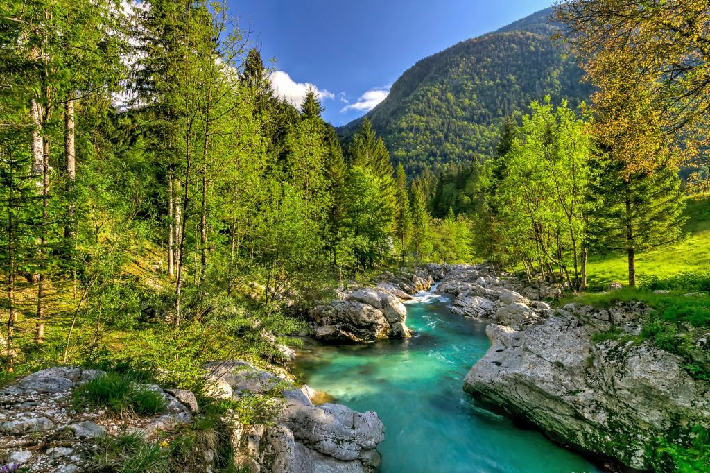 Fiume Isonzo dalle acque cristalline circondato da boschi nelle Alpi Giulie, Slovenia.