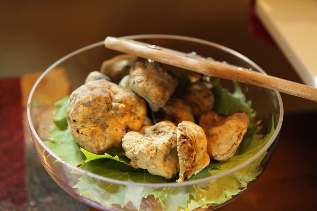 Piatto di tartufi di Alba distesi sopra delle foglie aromatiche, bacchetta di legno, vacanza in bici, Piemonte