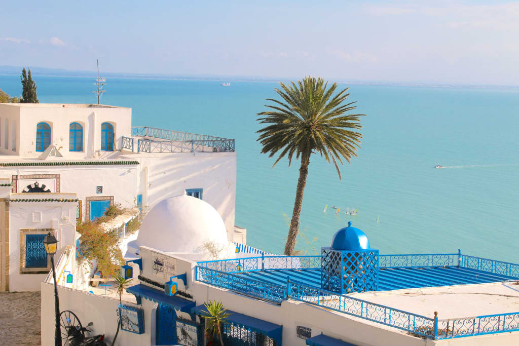 Case bianche con verande blu, una palma e mare sullo sfondo nel billaggio di Sidi Bou Said in Tunisia