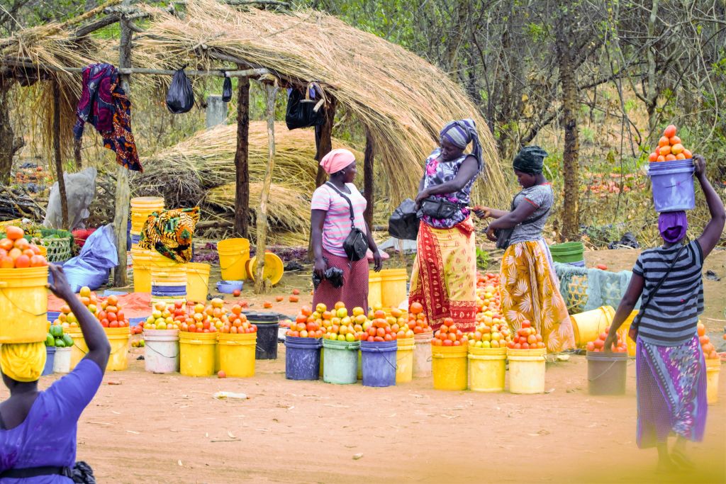 Donne vendono prodotti artigianali e beni in un mercato all'aperto, Tanzania