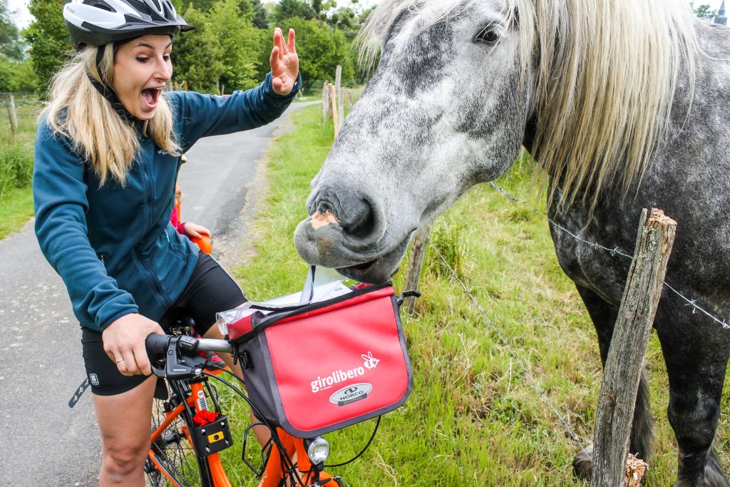 Radfahrer trifft ein Pferd in der Nähe des Radwegs in ländlicher Landschaft während einer Radtour in Frankreich