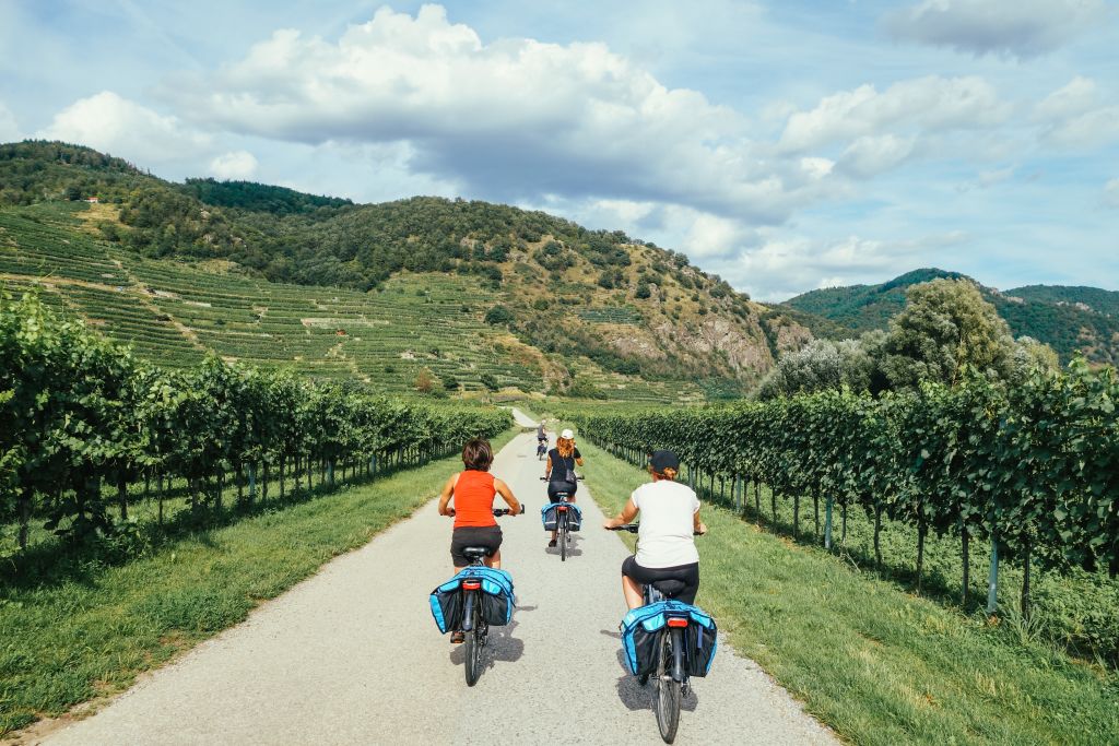 gruppo in bici "Girolibero" lungo la ciclabile del Danubio, Da Linz a Vienna in bicicletta
