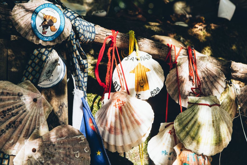 Conchiglie del Cammino di Santiago