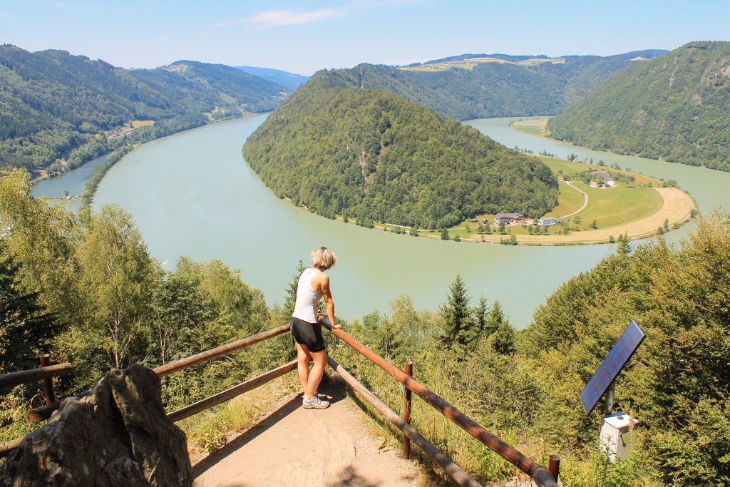 Viaggiatrice sulla terrazza panoramica ad Halbach ob der Donau, ansa del Danubio Schlögener Blick, Austria