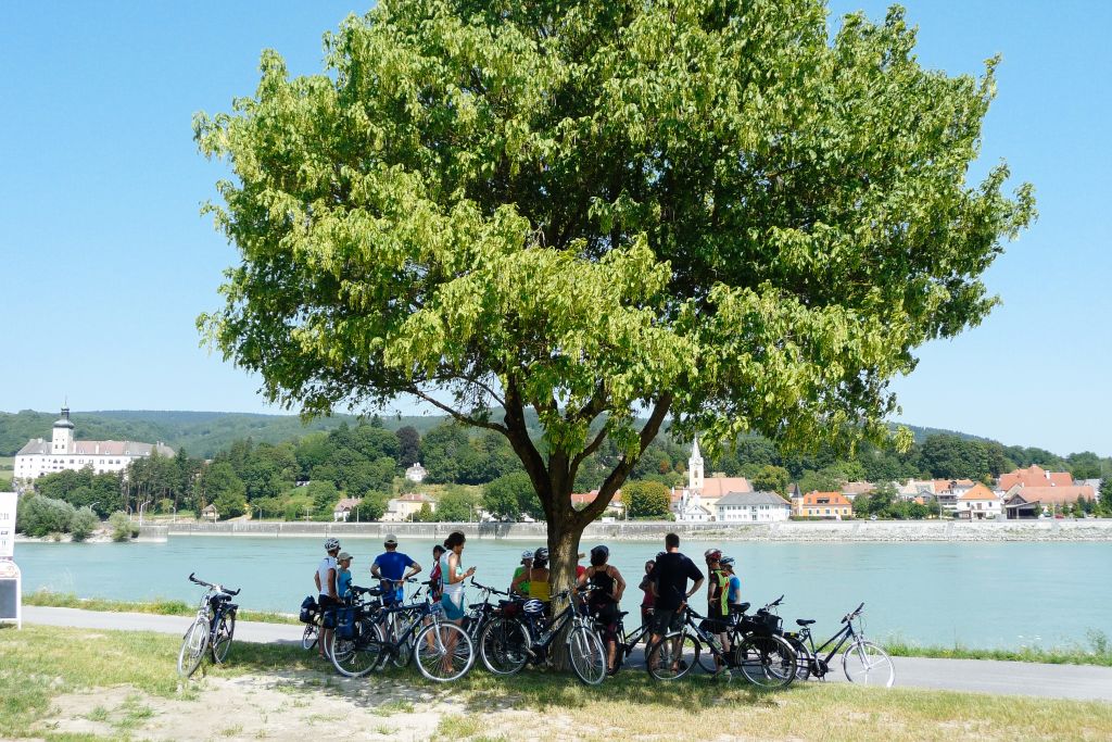 Radfahrer unterwegs mit Girolibero, Gruppenreise entlang des Donauradweges