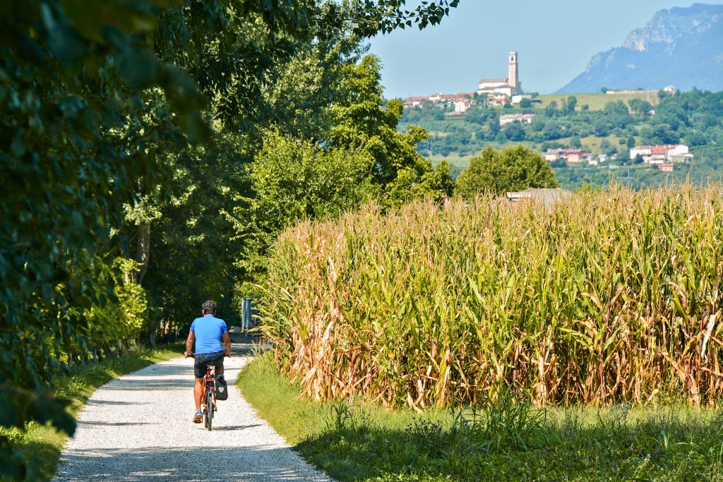 Cicloturista, campo di grano, paesaggio verde, vacanza all'aria aperta, Sandrigo, valle del Brenta, Veneto