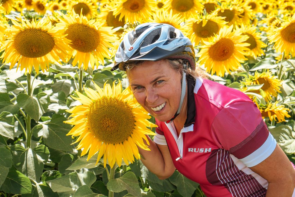 Radfahrer macht ein lächelndes Foto zwischen den Sonnenblumen