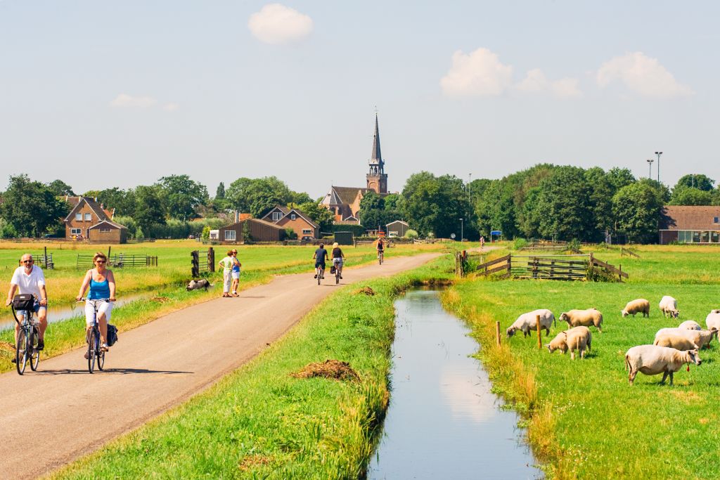 Cycling path through a green plain with windmills, Northern Holland