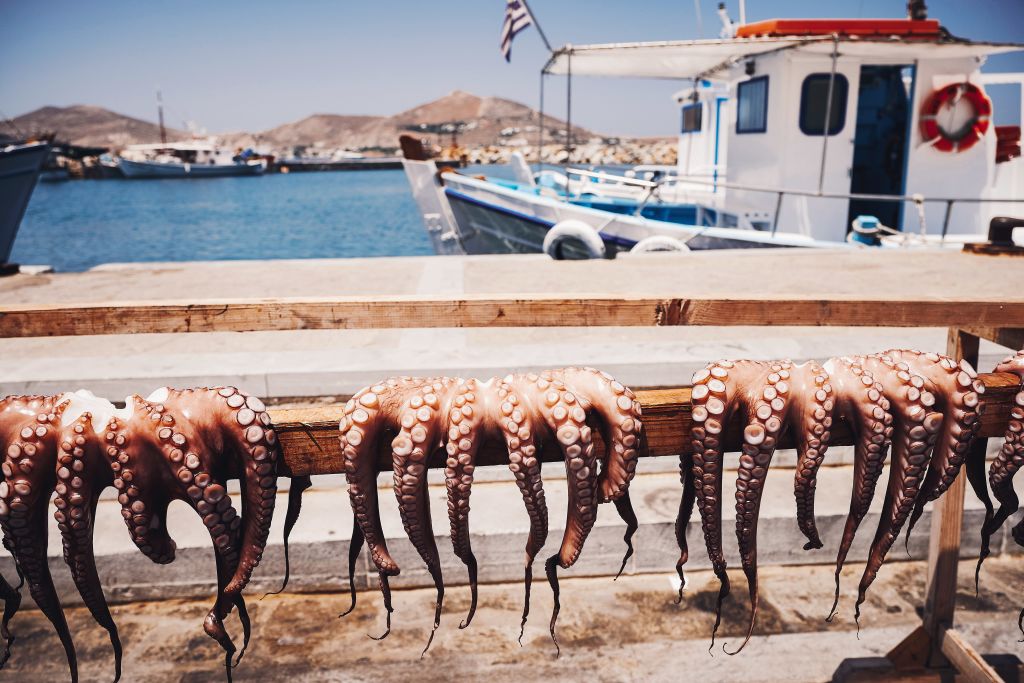 Octopus drying along a quay at the port of Hydra, Greece.