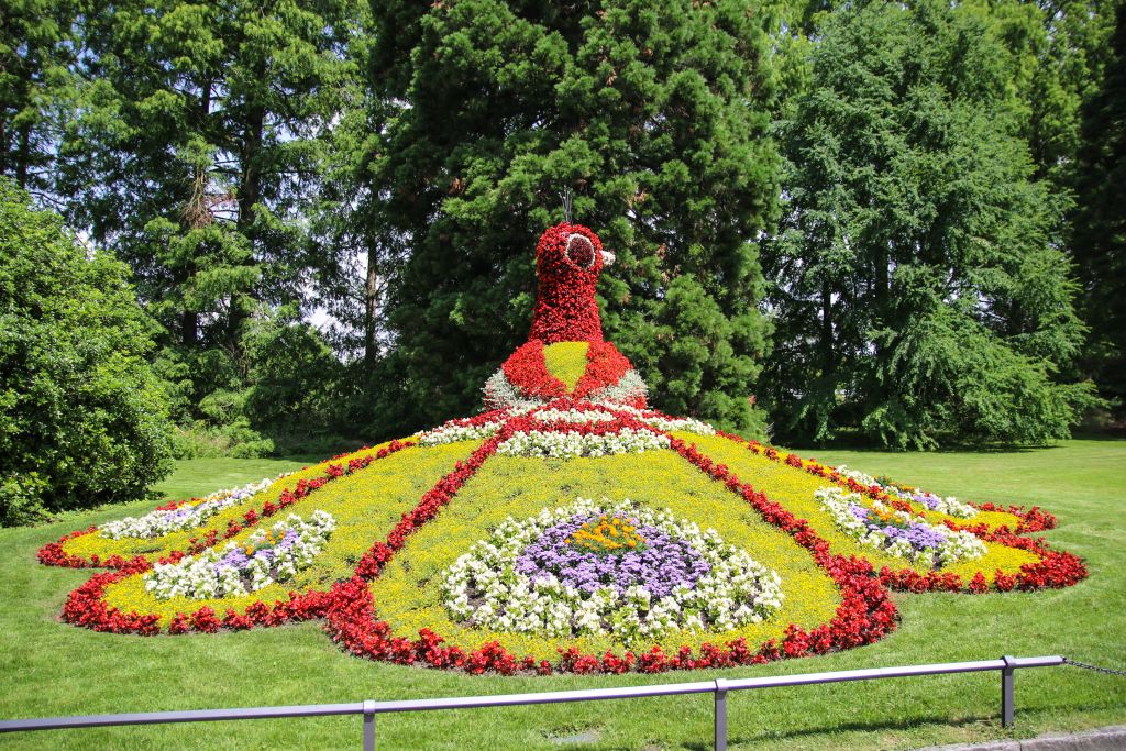 Grande aiuola fiorita a forma di pavone nei giardini dell’isola di Mainau sul Lago di Costanza.