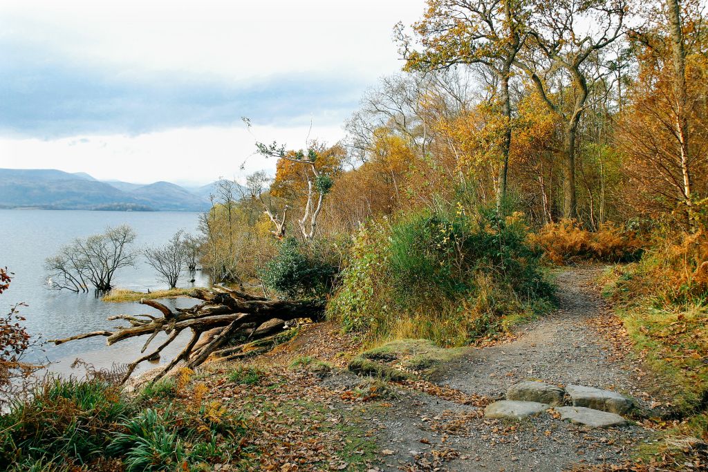 Sentiero in riva a un lago circondato da alberi autunnali, Highlands scozzesi