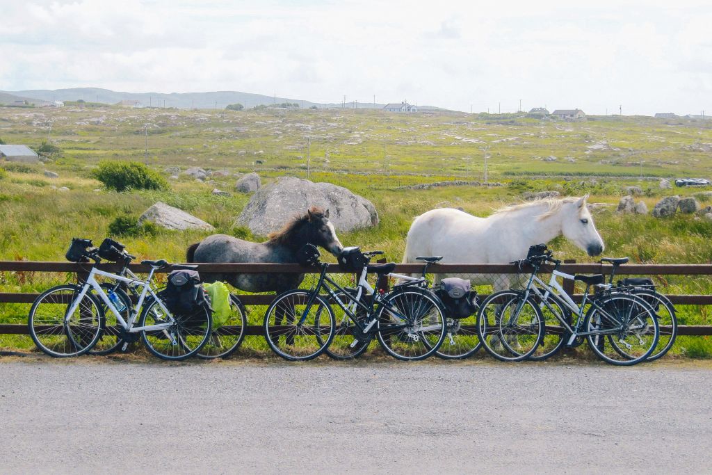 Biciclette "Girolibero" appoggiate a una staccionata con dietro un cavallo bianco al pascolo tra le colline verdi