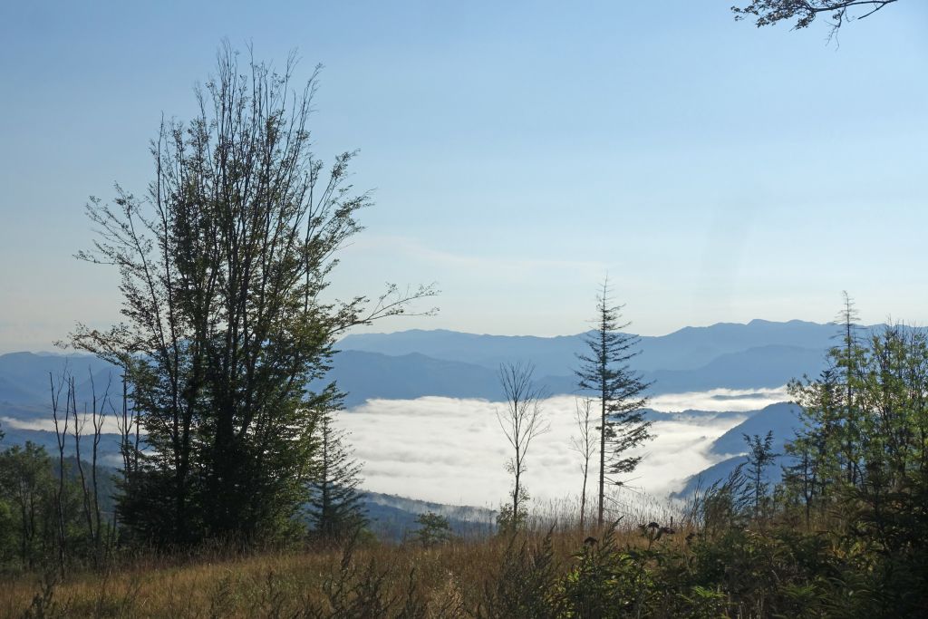 Mare di nebbia visto da un colle, Appennini tra Romagna e Toscana