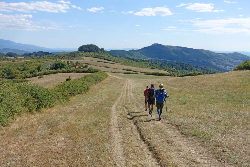 Escursionisti su sentiero sterrato della Via degli Dei che attraversa le colline appenniniche.