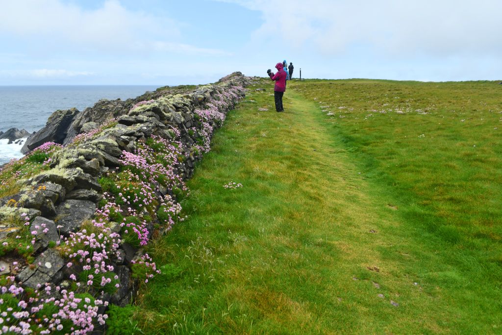 Escursionista che cammina su un prato verde lungo a un muretto di pietra.