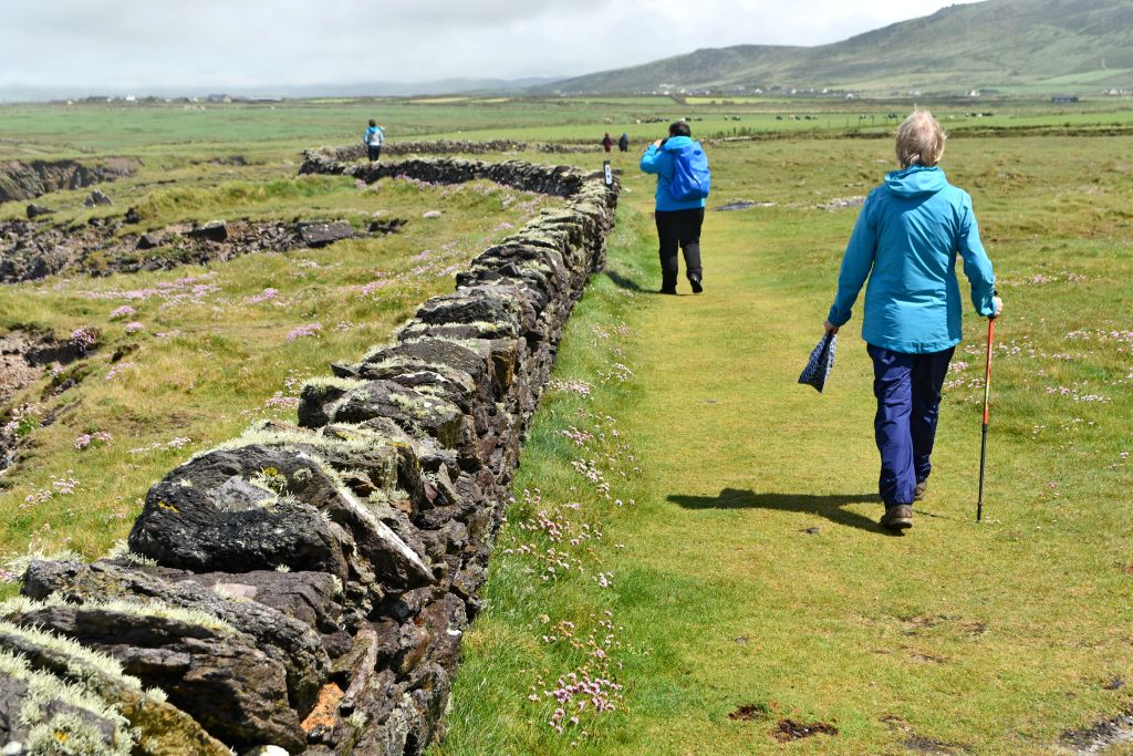 Escursionisti su un prato verde con muretti di pietra lungo il percorso.