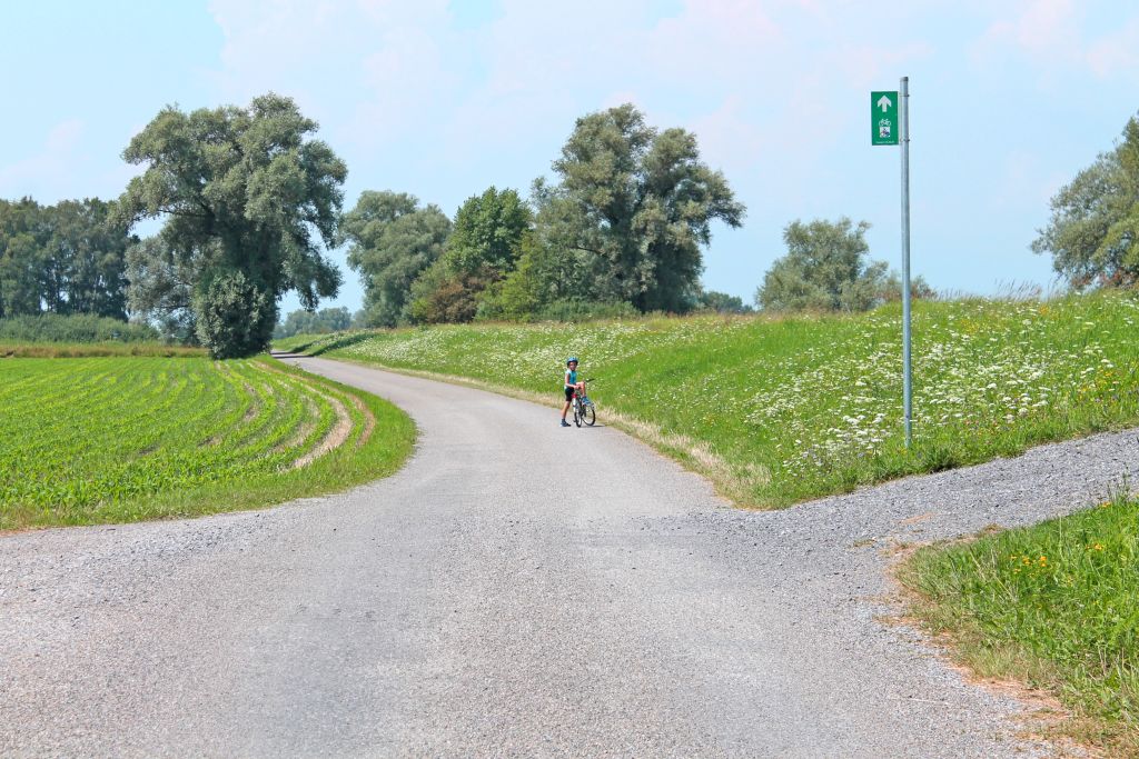 Strada di campagna con alberi e prati vicino al Lago di Costanza.