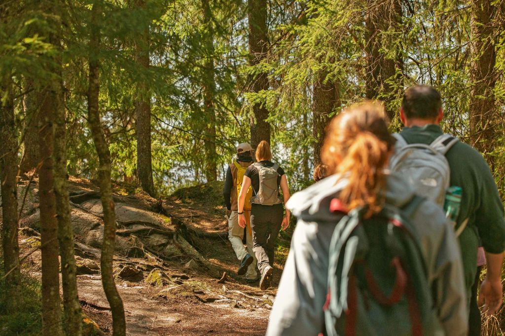Gruppo in escursione nel bosco, viaggi e trekking in Norvegia.