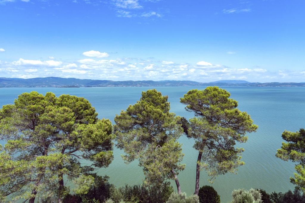 Vista sul Lago Trasimeno, al confine tra Umbria e Toscana, Italia, con alberi verdi in primo piano e cielo azzurro.