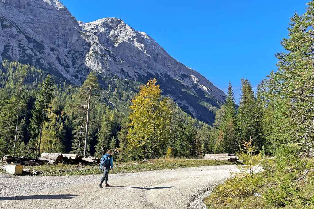Strada panoramica attraverso le Alpi Bavaresi, con escursionisti e viste montane.