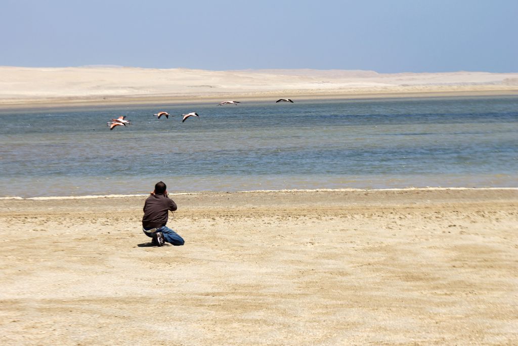 Persona seduta sulla spiaggia deserta di Paracas fotografa l'oceano