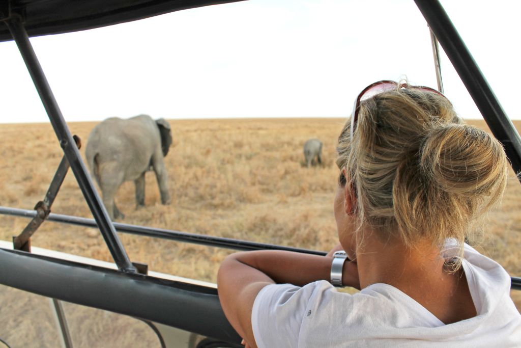 Donna osserva un elefante vicino alla jeep in un safari in Tanzania.