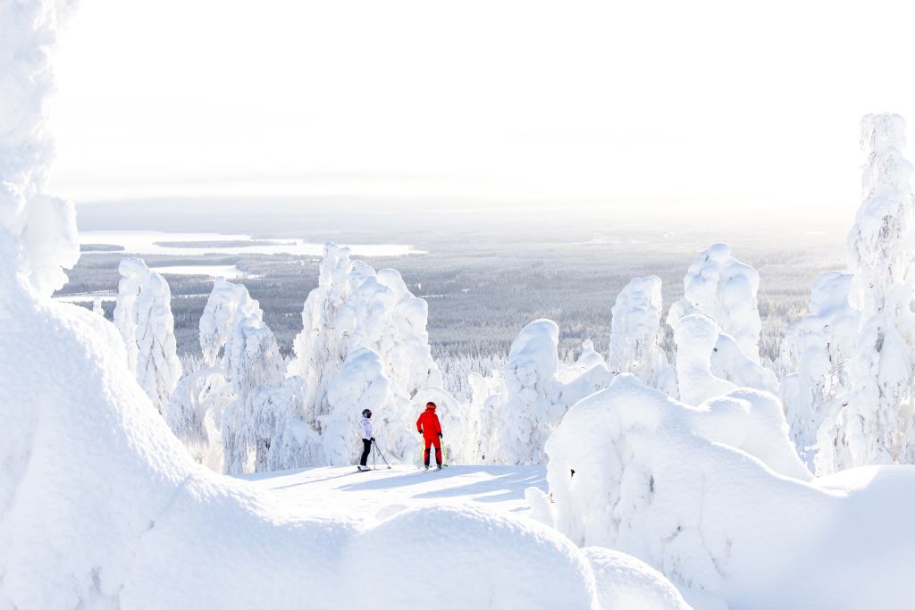 Sentiero tra alberi ghiacciati nel Parco Nazionale di Riisitunturi, Finlandia.