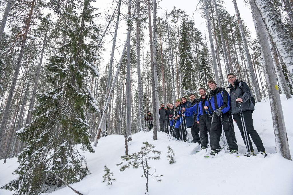 Escursionisti con ciaspole tra gli alberi innevati a Levi, Lapponia, Finlandia.