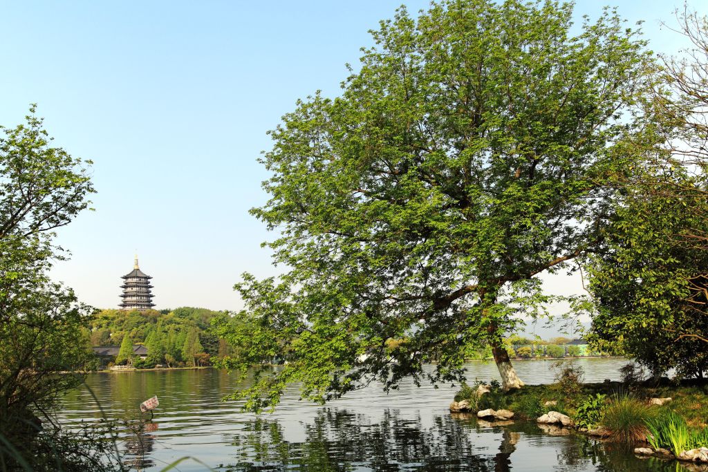 Parco del Popolo di Shanghai con alberi secolari e panchine ombreggiate, oasi verde urbana