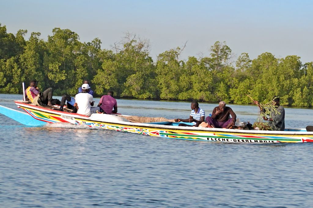 Piroga tradizionale tra mangrovie nel Parco Nazionale del Delta del Saloum, Toubacouta – Senegal