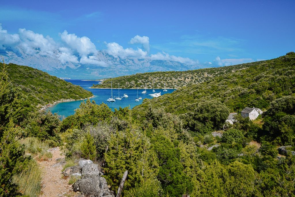 Panoramablick auf eine Bucht mit kristallklarem Wasser und grünen Hügeln, Insel Mljet, Kroatien.