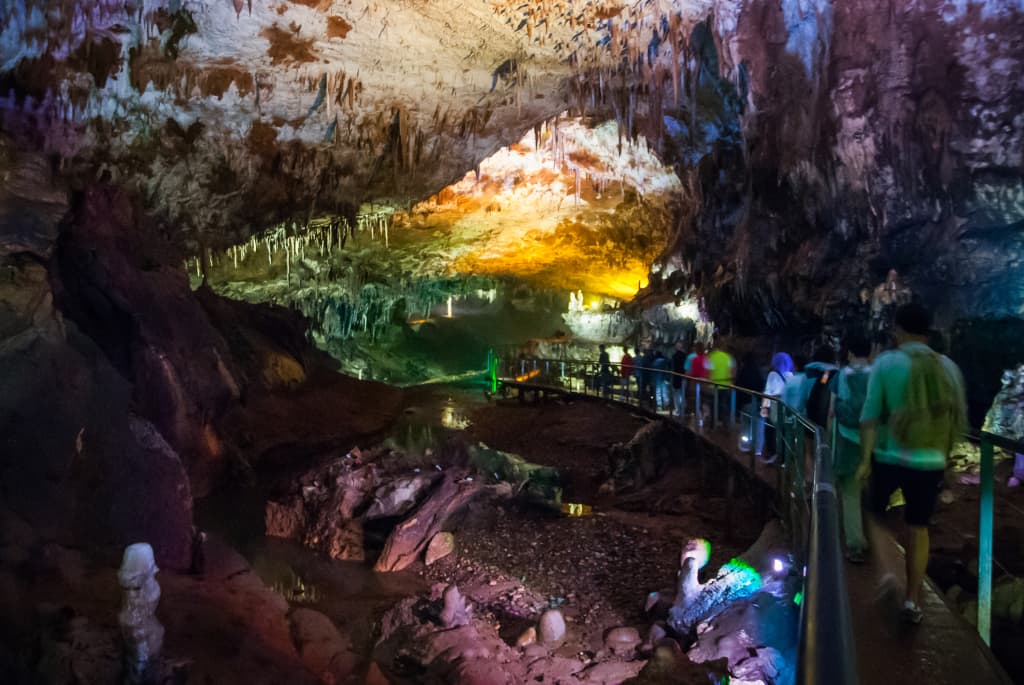 La Terra del Vello d'Oro Marzia Giacomello