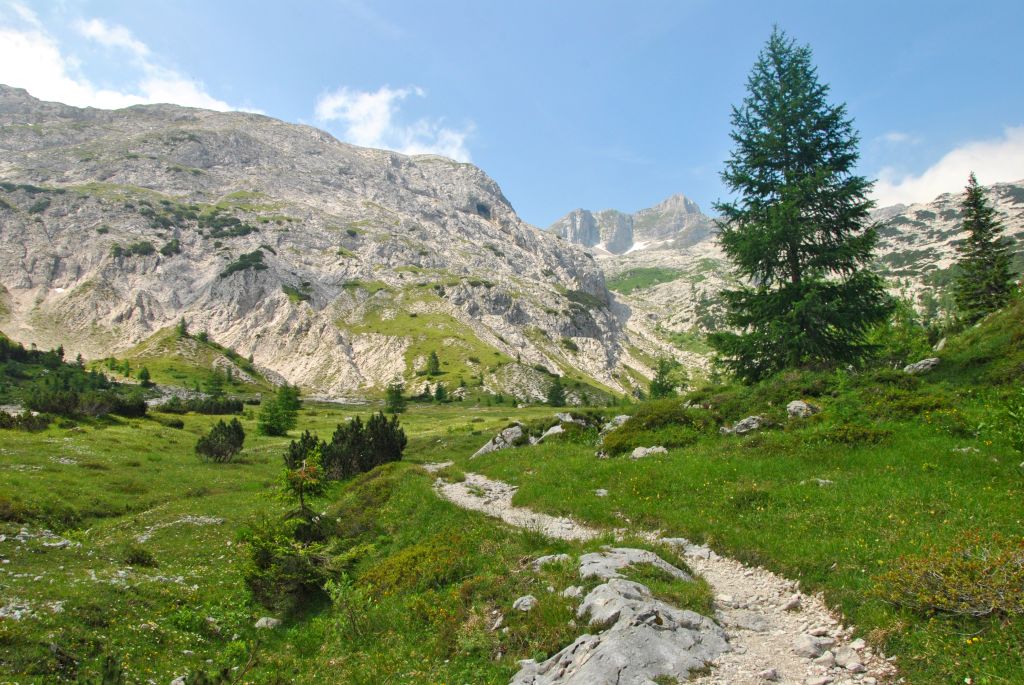 Panoramica verde delle Alpi Giulie con pascoli e sentieri nel Parco Nazionale del Triglav, Slovenia.