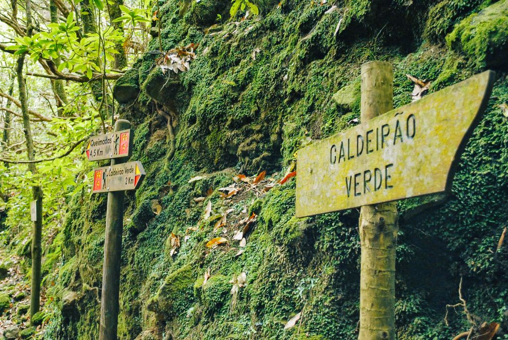 Cartello del sentiero "Levada do Rei" nella foresta di Laurisilva, Madeira