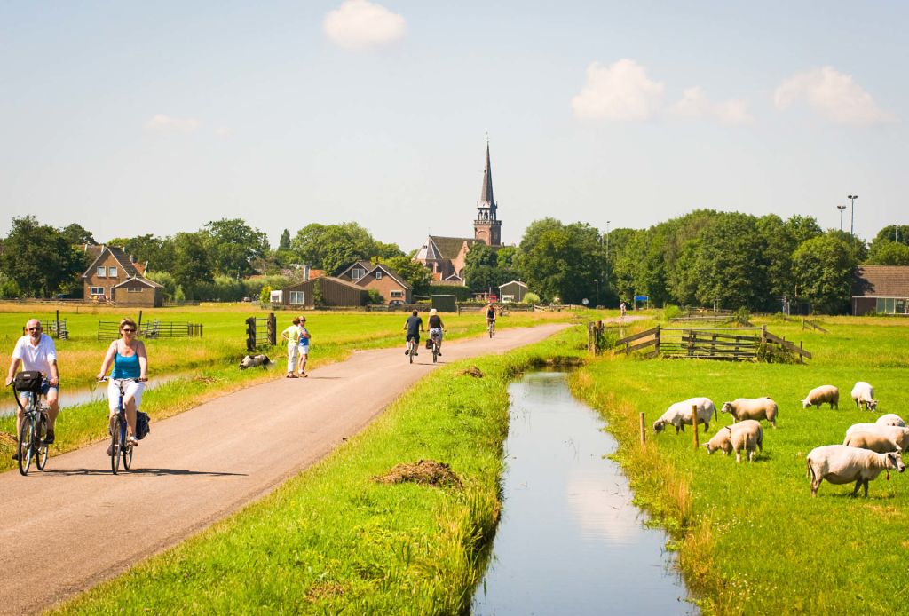 Cyclists along a canal with sheep and a church in the background, rural Netherlands.