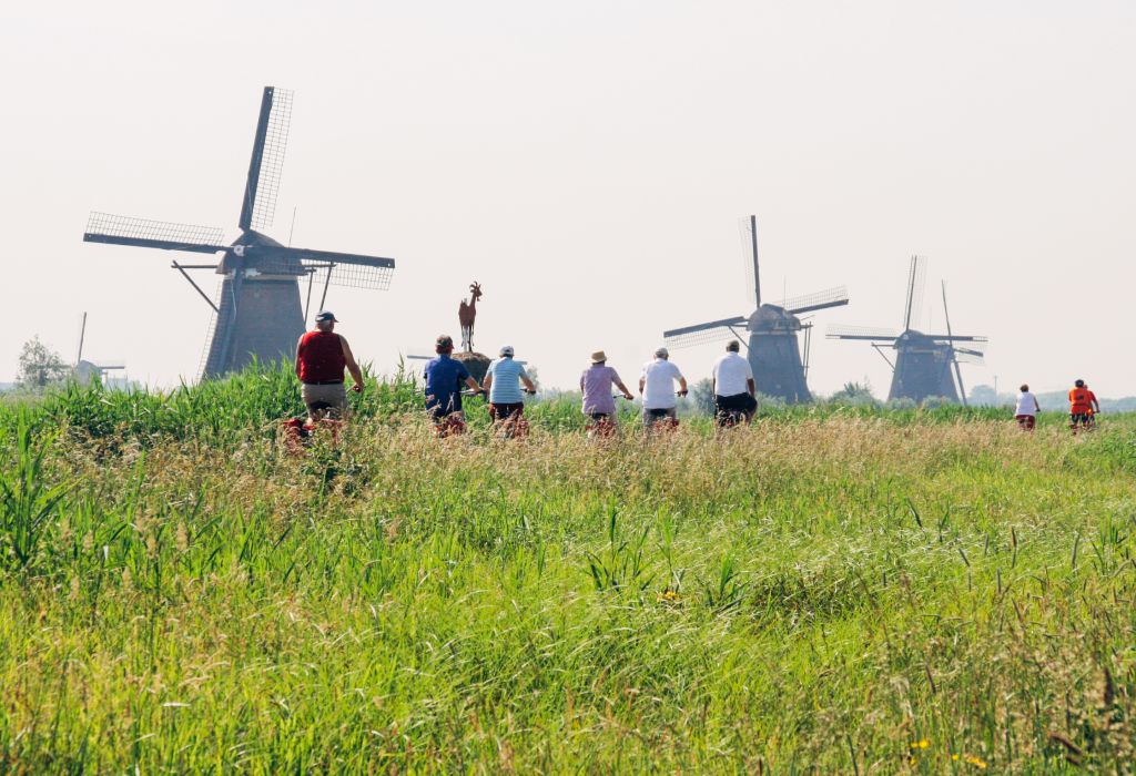 Panorama of historic windmills with a blue sky in the background in Kinderdijk.