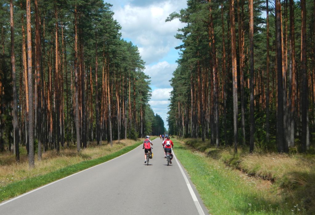 Ciclisti su pista ciclabile immersa nella foresta in Polonia in viaggio con Girolibero