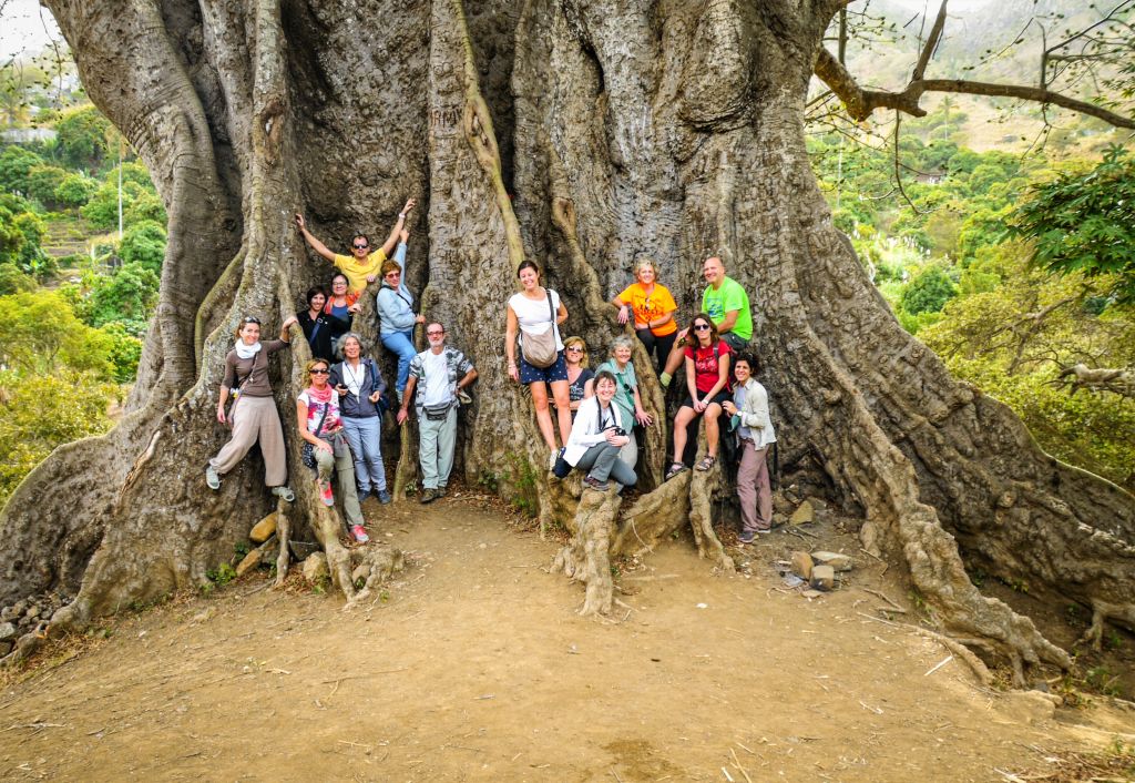 Gruppo di turisti in posa davanti a un grande albero secolare nell'isola di Capo Verde durante un viaggio di gruppo Girolibero