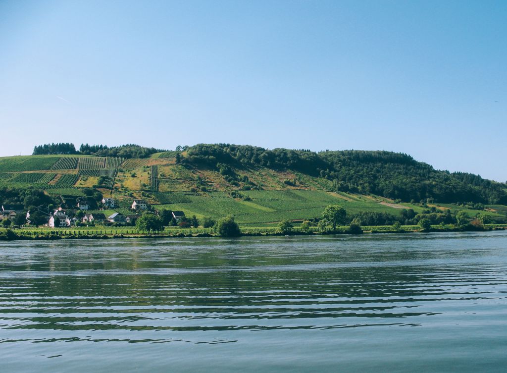 Mosel mit Weinbergen und bewaldeten Hügeln im Hintergrund, Deutschland.