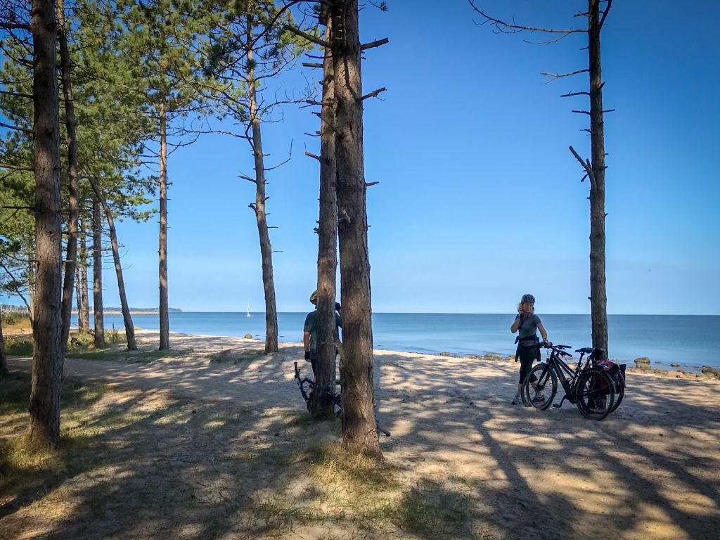 Ciclista in pausa in una pineta che si affaccia sul mare, Copenaghen, Danimarca