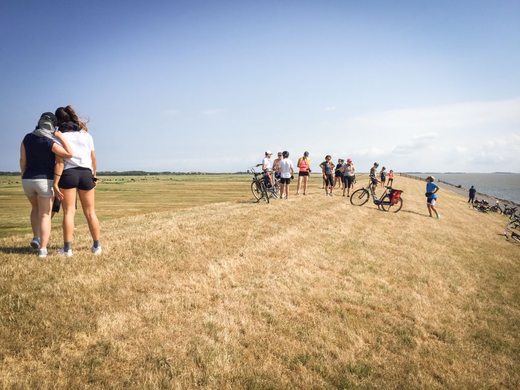 Gruppe von Radfahrern, die durch eine flache ländliche Landschaft fahren, zu den Friesischen Inseln